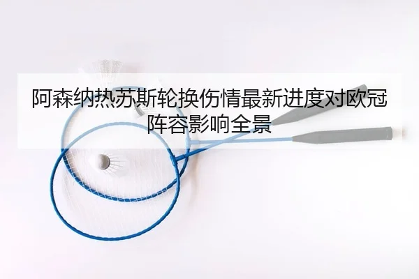 a-sen-na-re-su-si-lun-huan-shang-qing-zui-xin-jin-du-dui-ou-guan-zhen-rong-ying-xiang-quan-jing-2-999.jpg